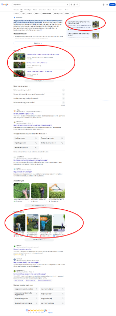 video's in google zoekresultaten