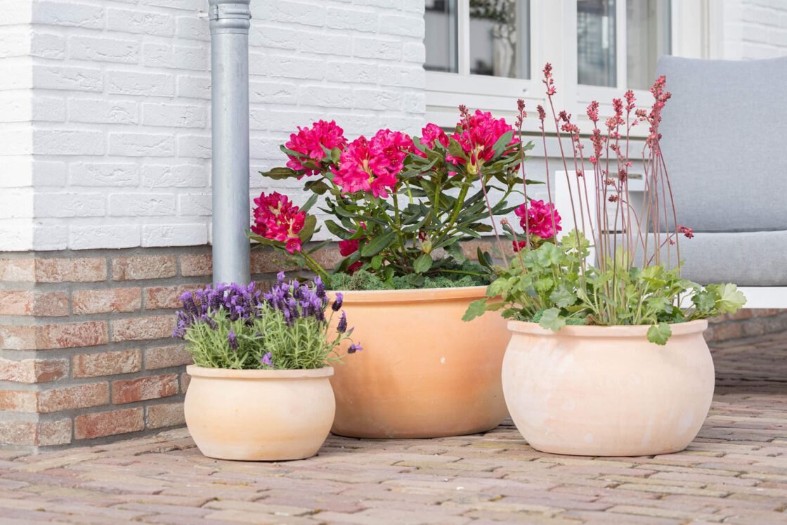 mega collections sfeerfoto